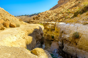 The rocky desert landscape