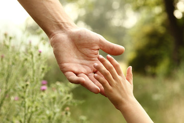 the parent holds the hand of a child