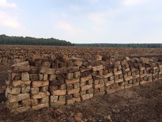 Torf lagert nach Abbau auf Torffeld