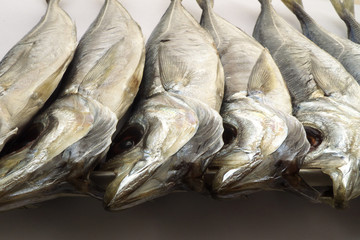 dried horse mackerel
