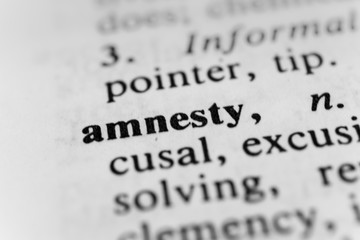 Amnesty