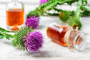 Medicinal extract of milk Thistle