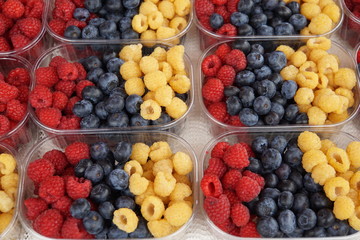 Sommerliche Früchte
