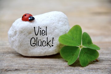 Viel Glück - vierblättriges Kleeblatt mit Marienkäfer - Grußkarte 