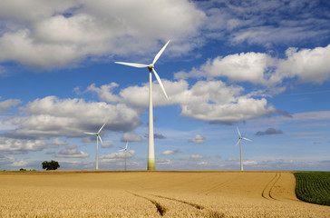 Windpark