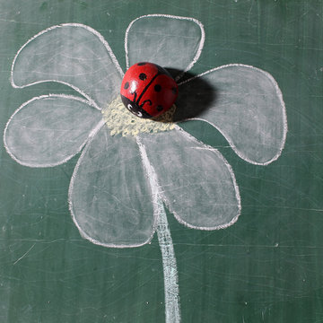 Beautiful ladybug on drawing flower