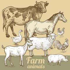 Farm animals cow, horse, sheep, goat, pig, goose, rooster, chick