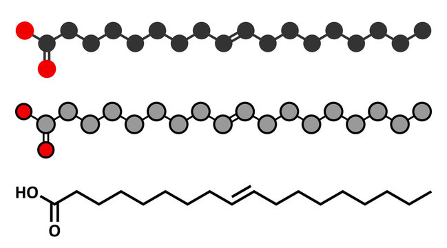 Elaidic acid molecule. 