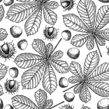 Seamless vector pattern with autumn leaves. Chestnut leaf and nu