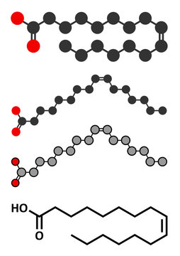 Palmitoleic acid (omega-7) fatty acid molecule.