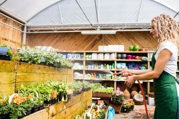 Florist spraying water on plants