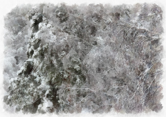 drawing oil winter landscape with bare branches of a birch on a background of the road covered with a thick layer of snow