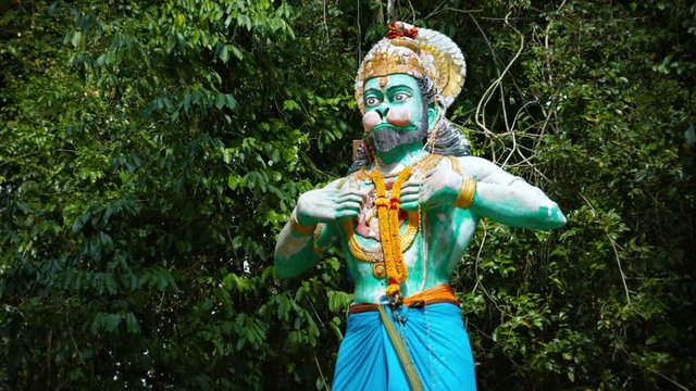 Video 1080p - Religious statue of a monkey god, painted green, clothed and adorned with flower lei, displayed outdoors for worship.
