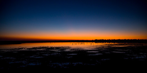 Beautiful sunset with flamingos silhouettes