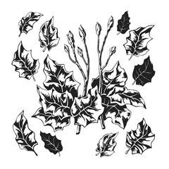 Stylized black and white foliage