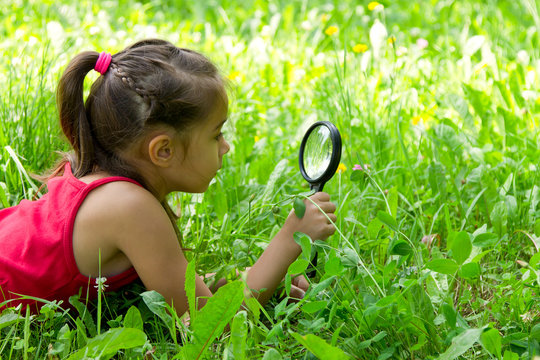 Little girl exploring nature in a meadow looking at magnifying glass