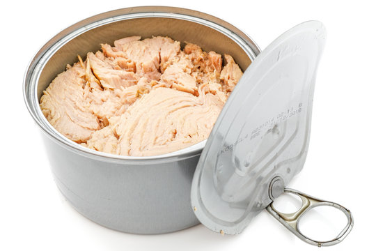 Thunfisch isoliert