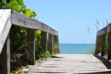 Path to the Beach 