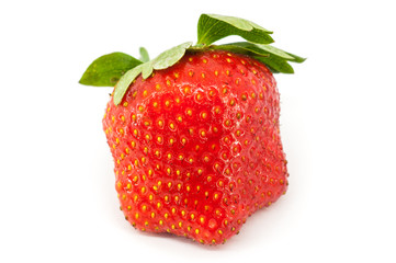 Strawberry isolated