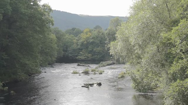 River Dee In Late Summer. River Grass Swaying In The Waters Current