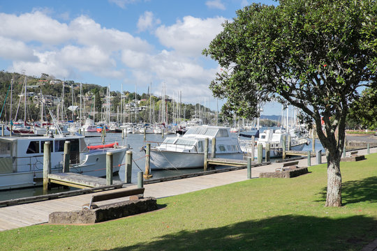 Boats moored at Whangarei Marina in the town basin. Northland, New Zealand, NZ.
