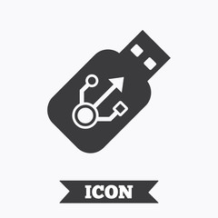 Usb sign icon. Usb flash drive stick symbol.
