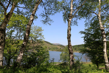 Obraz premium 白樺湖