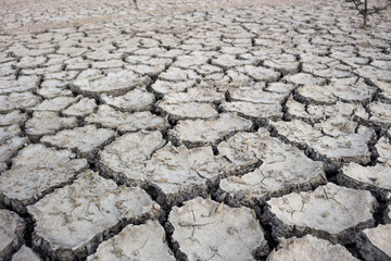 Crack ground dead mussels mud.