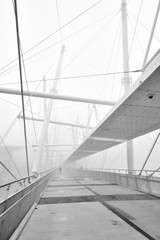 Australia Landscape : Kurilpa Bridge over Brisbane river in misty morning