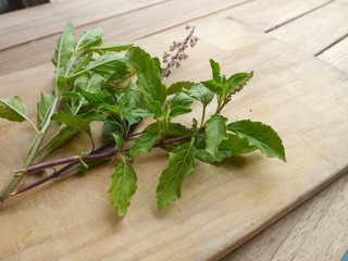 basil