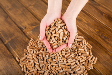 Woman hands holding wooden pellets made of biomass