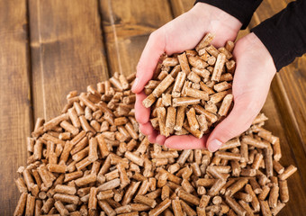 Woman hands holding wooden pellets made of biomass