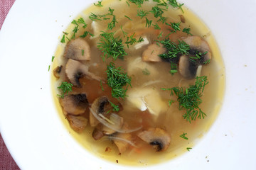 The mushroom soup