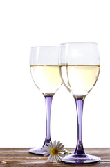 Two glasses of white wine on a wooden table with a chamomile on