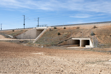 Wildlife passage in the Madrid-Levante High-Speed Railway