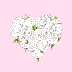 White peonies heart