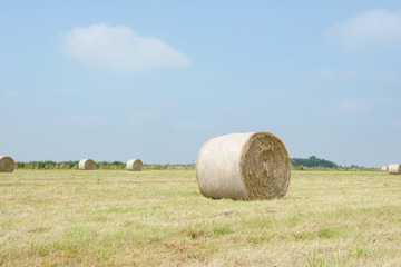 stubble field with hay bales