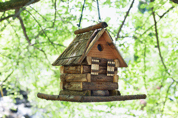 Starling house for birds on tree in summer park