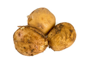 potatoes isolated on white