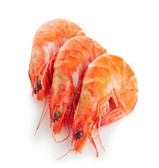 Tiger shrimps close-up isolated on a white background.