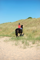 promenade dans les dunes