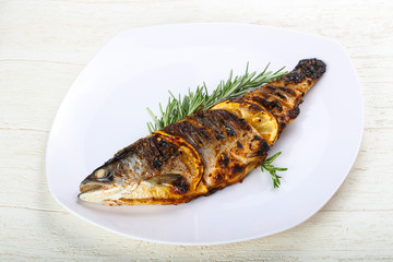 grilled trout