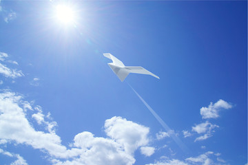 紙ひこうき 鳥　青空　イメージ