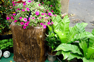 Garden decoration