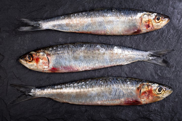 Sardines on slate background