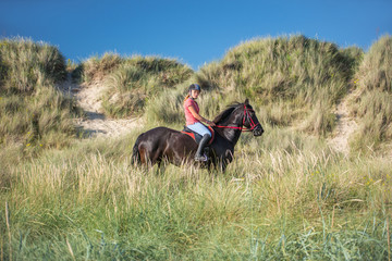 promenade dans les dunes