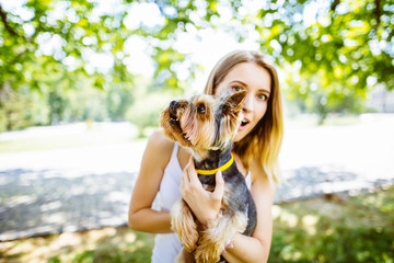 beautiful girl holding a Yorkshire terrier in a summer park . Portrait.girl with a dog