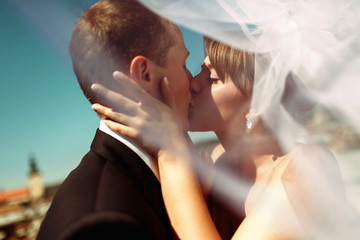 A closeup of a bride kissing a groom in the front of Lemberg's r