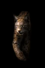 Tuinposter Lynx op zwarte achtergrond © Buckley