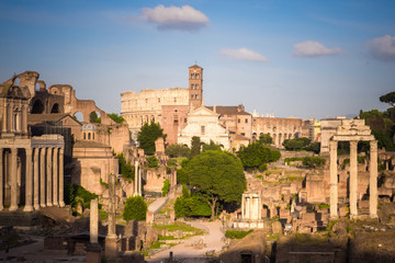 Fototapeta na wymiar Forum Romanum with Colosseum in background, Rome, Italy